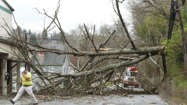 70 mph Wind Gusts Topple Trees and Leave Thousands Without Power